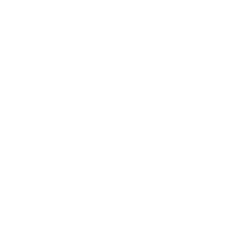mouse_icon