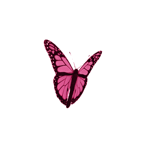 red_butterfly-min